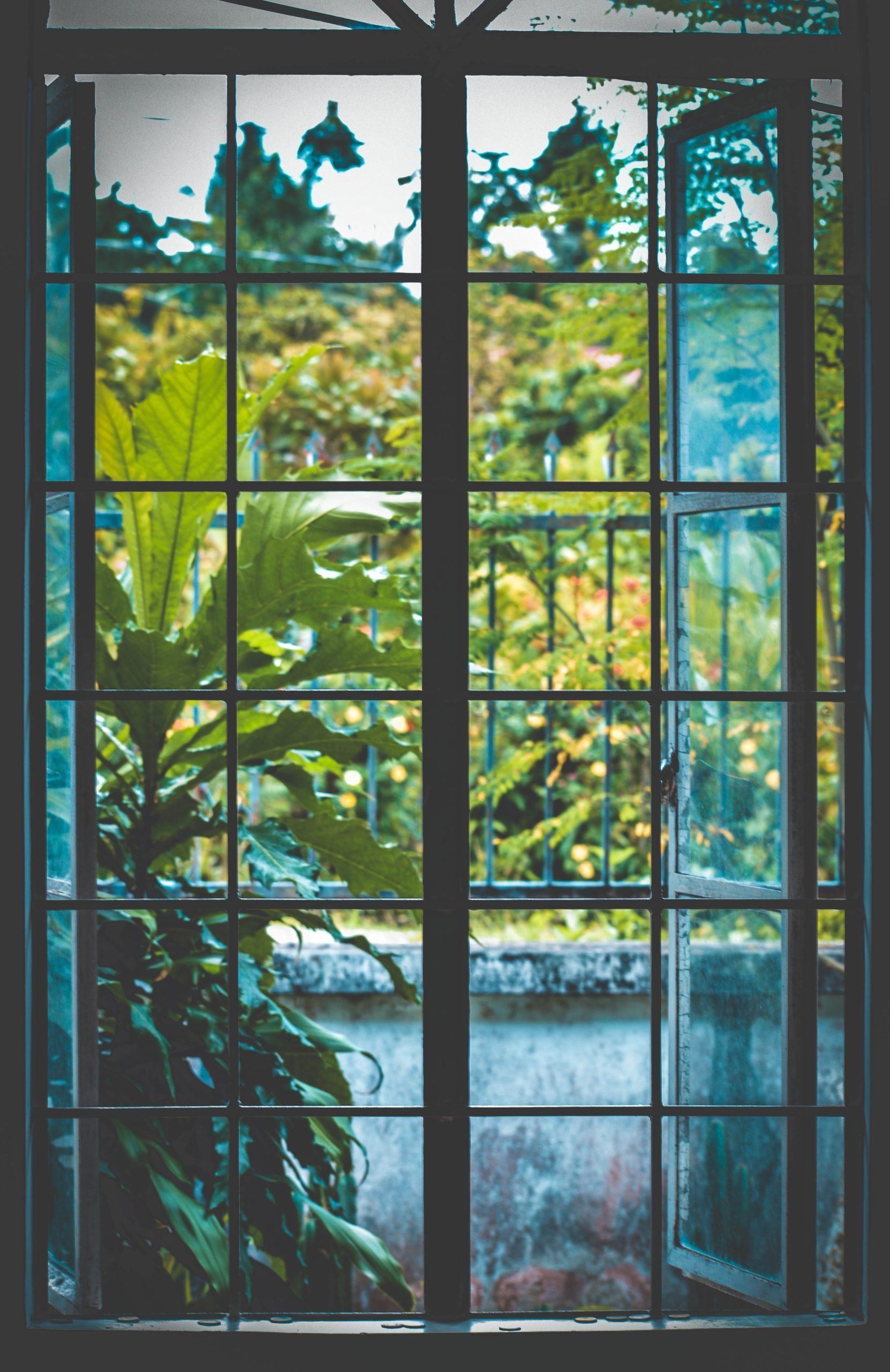 Read more about the article Faire poser des fenêtres sur mesure dans le Var